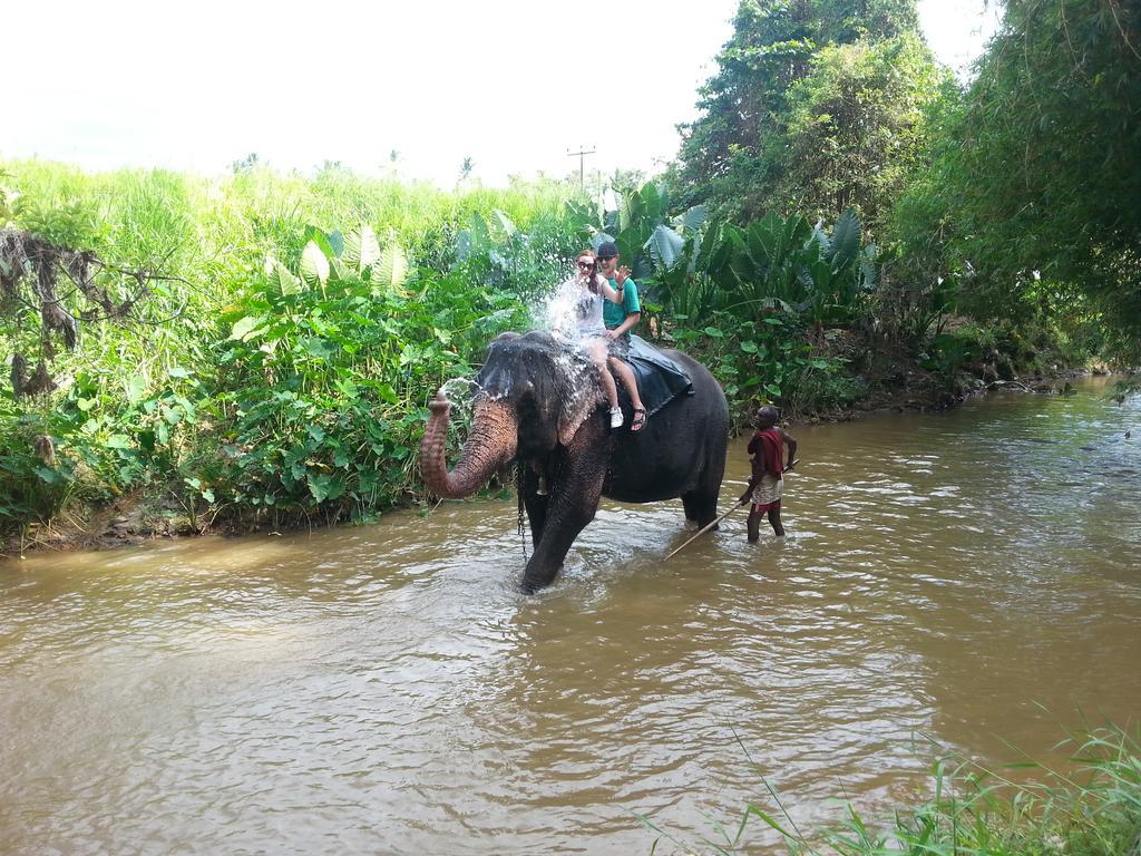 Elephant Reach Villa Pinnawala Pinnawala  Exterior foto